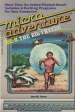 Micro Adventure 8: The Big Freeze Book Cover Art