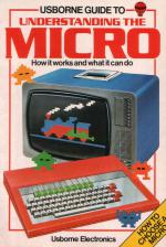 Understanding The Micro Book Cover Art