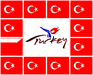 Turkey Flag Screenshot 1