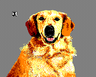 Dog Screenshot 0