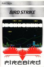 Birdstrike Cassette Cover Art