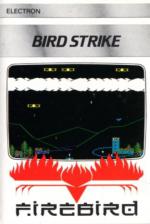 Birdstrike Cassette Cover Art