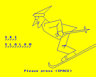 Ski Slalom Screenshot 0