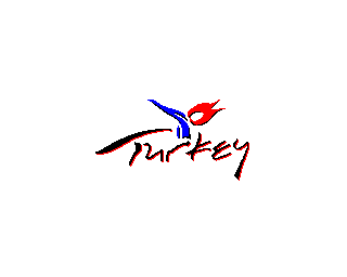 Turkey Flag Screenshot 0