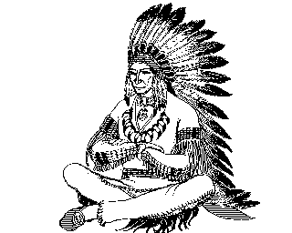 Indian Chief Screenshot 0