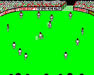 Ian Botham's Test Match Screenshot 2