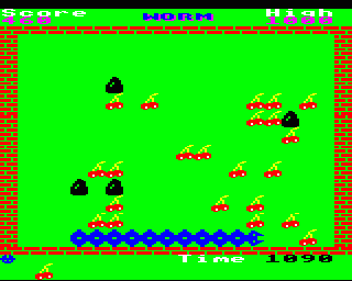FRUIT WORM - With A Playing Area This Small, There Are Going To Be Tears