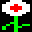 A Flower